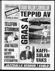 Síða 1