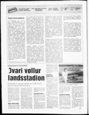 Síða 2