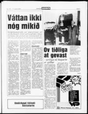 Síða 5