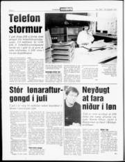 Síða 6