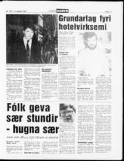 Síða 11