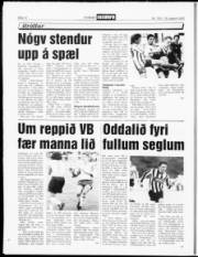 Síða 12