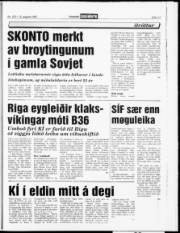 Síða 13