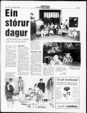 Síða 3
