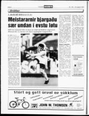 Síða 8