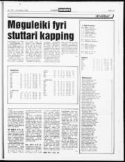 Síða 13