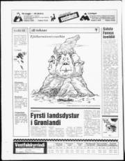 Síða 20