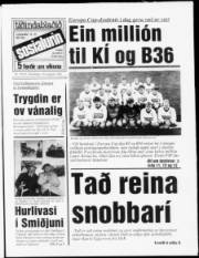 Síða 1