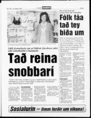 Síða 3