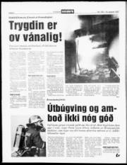 Síða 6