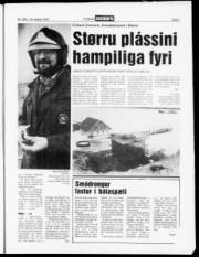 Síða 7
