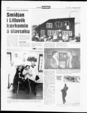 Síða 8