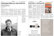 Síða 8