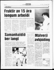Síða 12