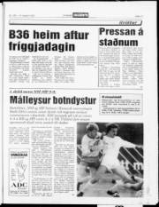 Síða 13