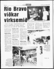 Síða 10