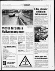 Síða 11