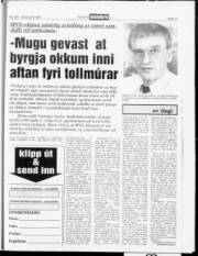 Síða 13
