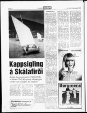 Síða 14