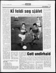 Síða 13