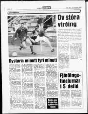 Síða 14