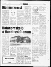 Síða 15