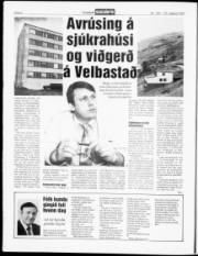 Síða 6