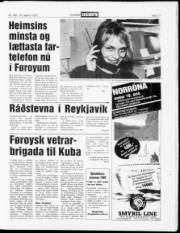 Síða 11