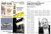 Síða 13