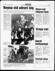 Síða 3