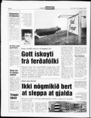 Síða 8