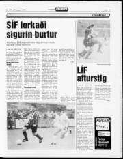 Síða 11