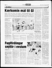 Síða 12