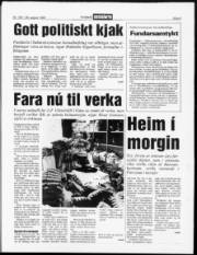 Síða 3
