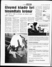 Síða 6