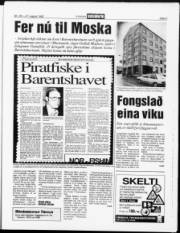 Síða 3