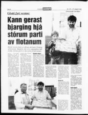 Síða 8