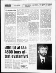 Síða 2