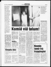 Síða 3