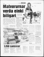 Síða 6