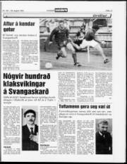 Síða 13