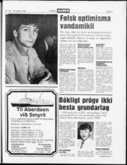 Síða 17