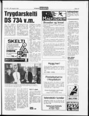 Síða 19