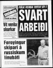 Síða 1