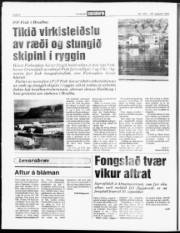 Síða 8