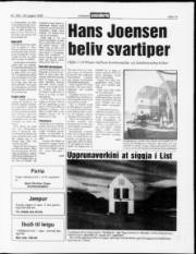 Síða 13