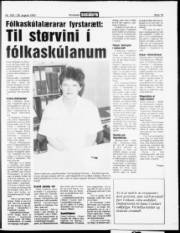 Síða 19