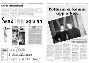Síða 8