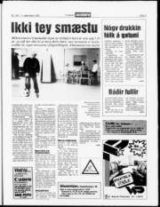 Síða 5