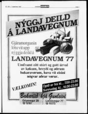 Síða 7